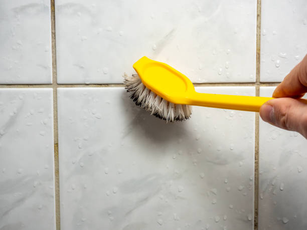 Professional Mold Remediation in Bloomer, WI