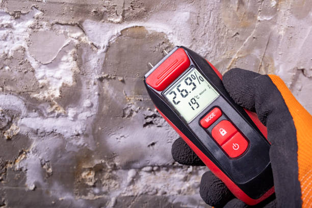 Best Industrial Mold Remediation in Bloomer, WI